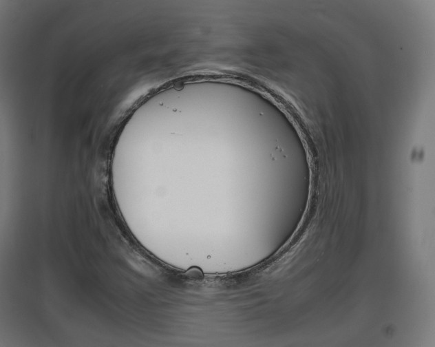 X0000097621355200802290810
