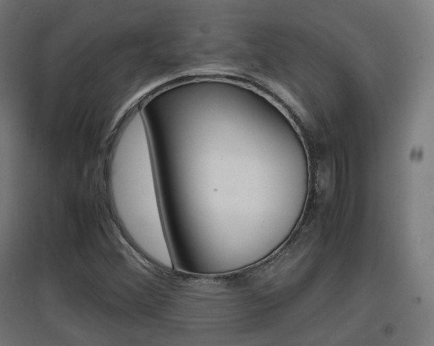 X0000097621356200802290810