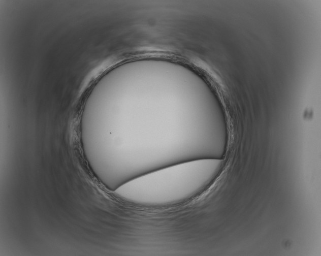 X0000097621357200802290810