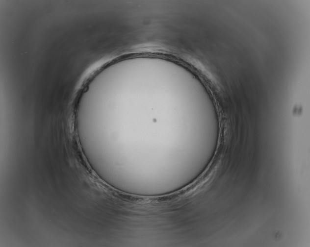 X0000097621358200802290810