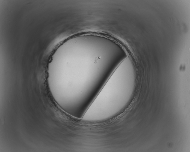 X0000097621359200802290810