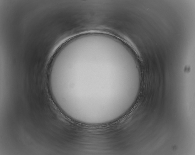 X0000097621360200802290810