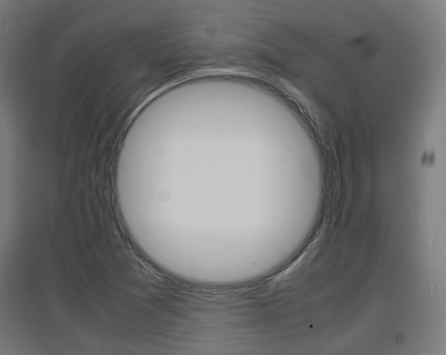X0000097621361200802290810