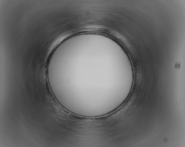 X0000097621362200802290810