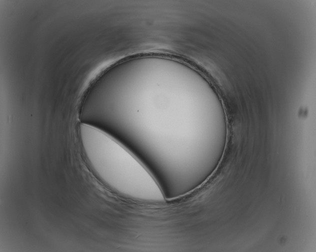 X0000097621363200802290810