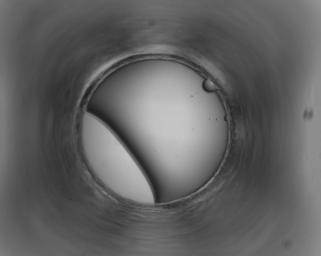 X0000097621364200802290810