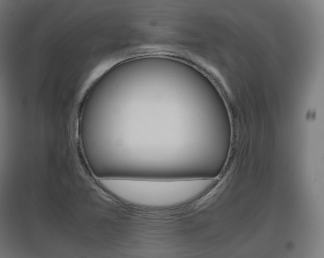 X0000097621365200802290810