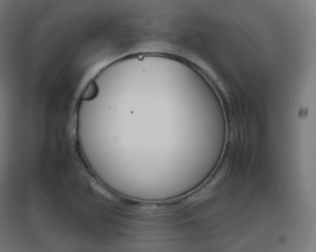 X0000097621366200802290810