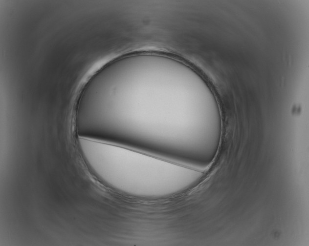 X0000097621367200802290810