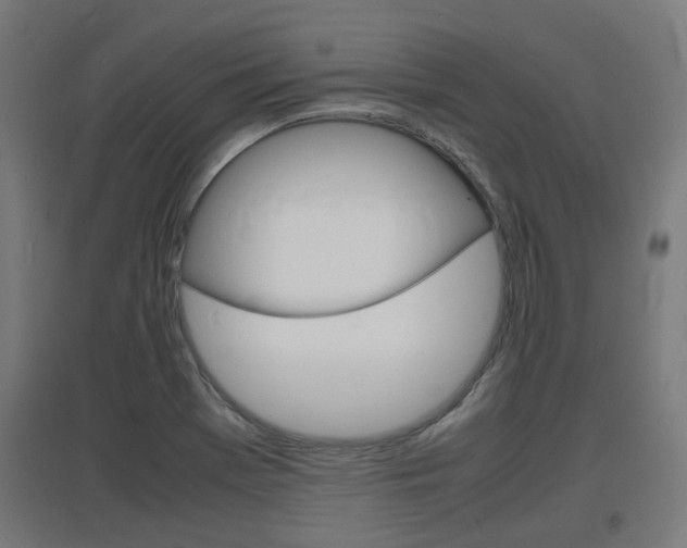 X0000097621369200802290810