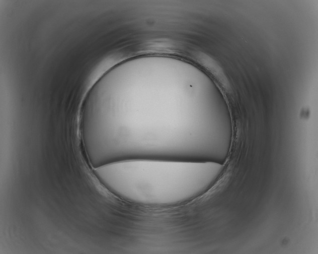 X0000097621370200802290810