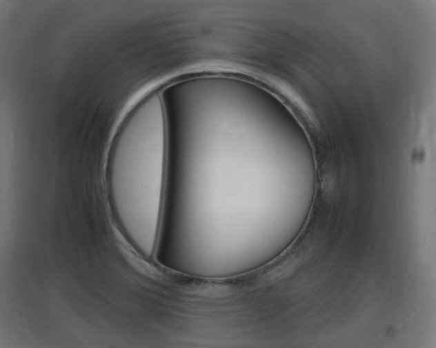 X0000097621372200802290810