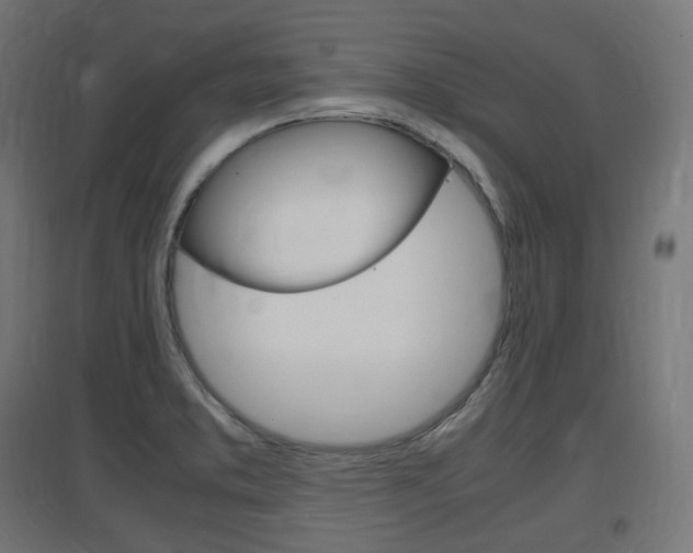 X0000097621373200802290810