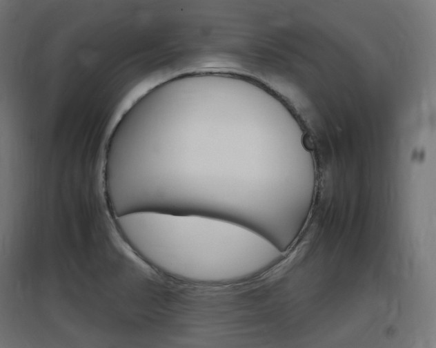 X0000097621374200802290810