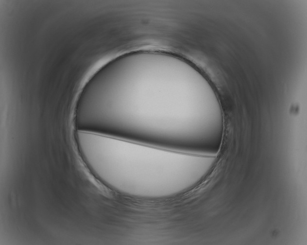 X0000097621375200802290810
