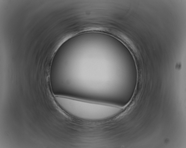 X0000097621377200802290810