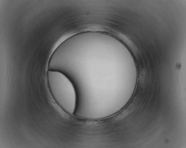 X0000097621378200802290810