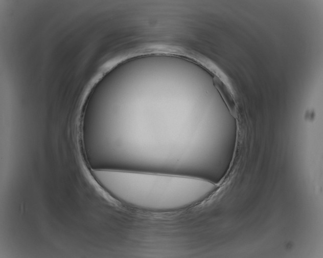 X0000097621381200802290810