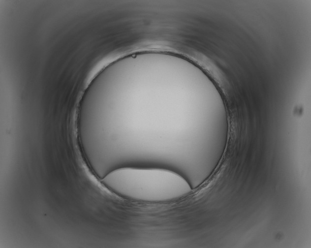 X0000097621382200802290810