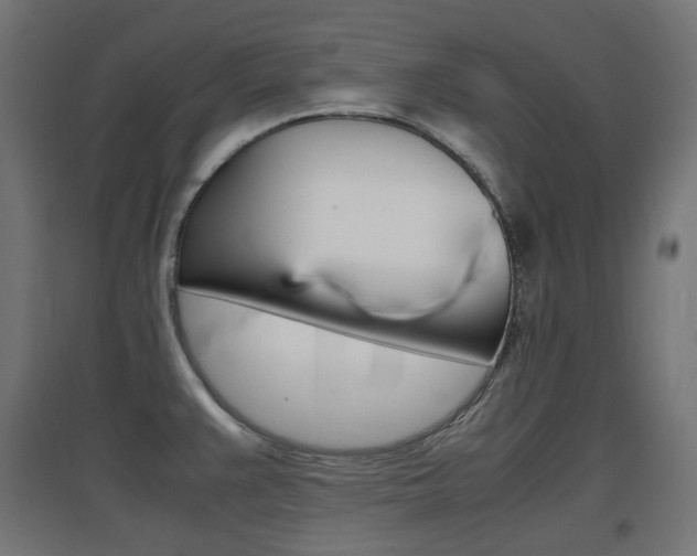 X0000097621383200802290810