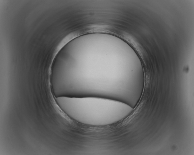 X0000097621386200802290810