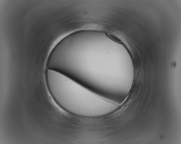 X0000097621387200802290810