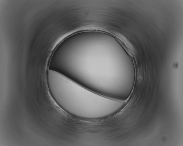 X0000097621388200802290810