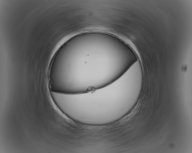 X0000097621389200802290810