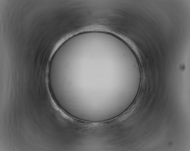 X0000097621390200802290810