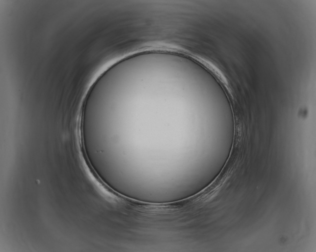 X0000097621391200802290810