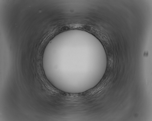 X0000097621393200802290809