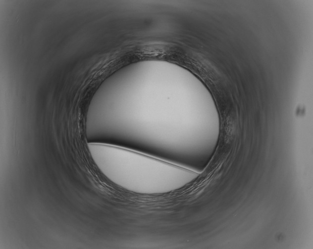 X0000097621394200802290809