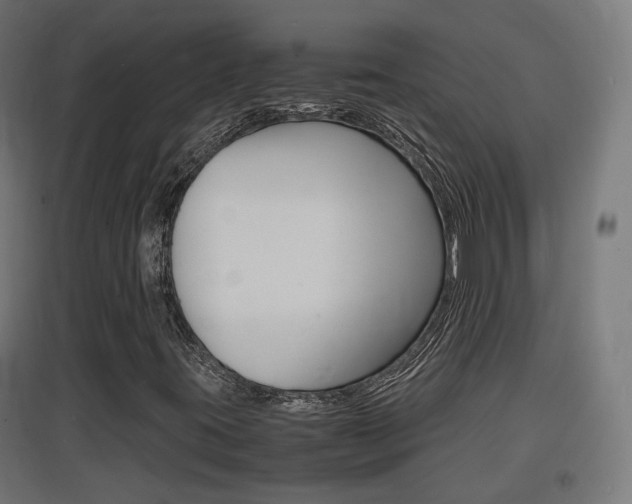 X0000097621395200802290809