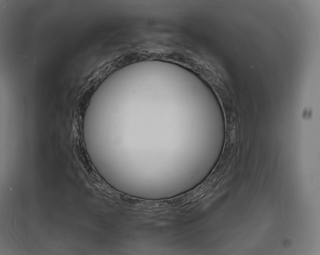 X0000097621397200802290809