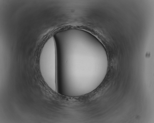X0000097621398200802290809
