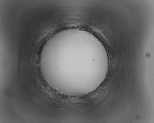 X0000097621399200802290809