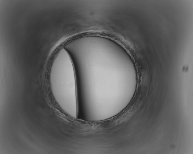 X0000097621400200802290809