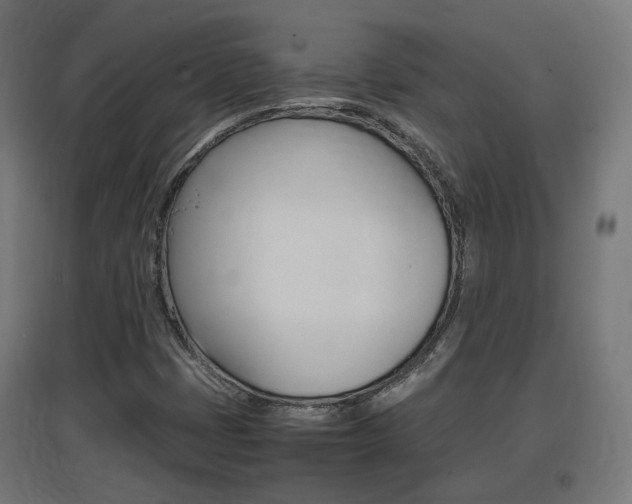 X0000097621401200802290809