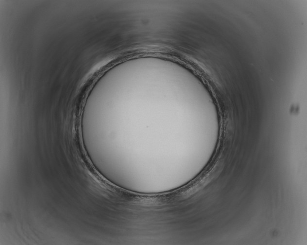 X0000097621402200802290809