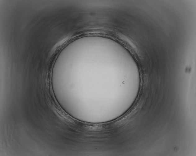 X0000097621403200802290809