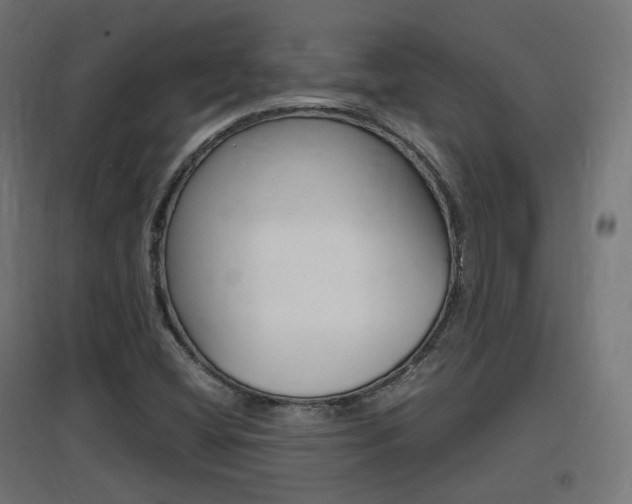 X0000097621404200802290809
