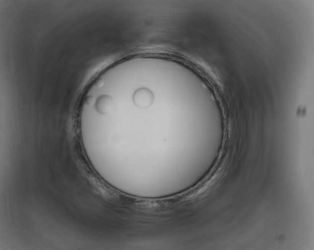 X0000097621405200802290809