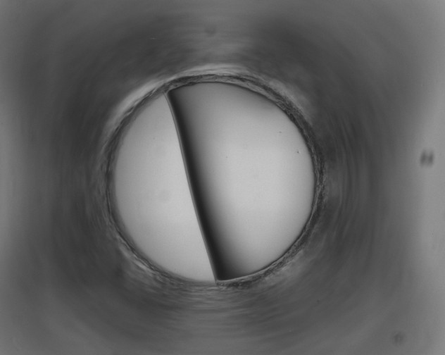 X0000097621406200802290809