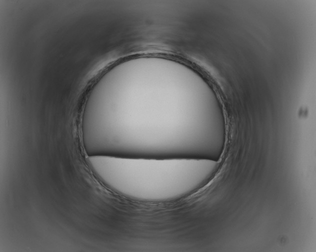 X0000097621407200802290809