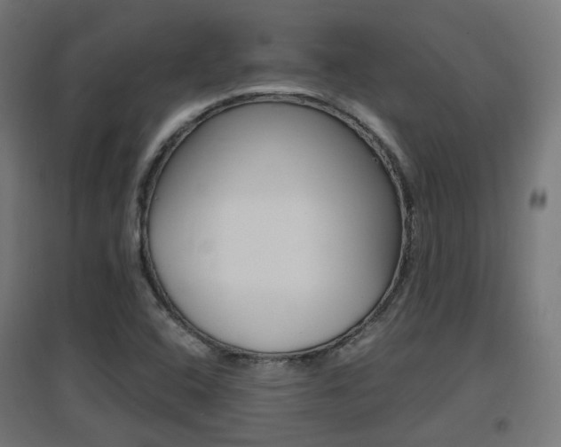 X0000097621408200802290809