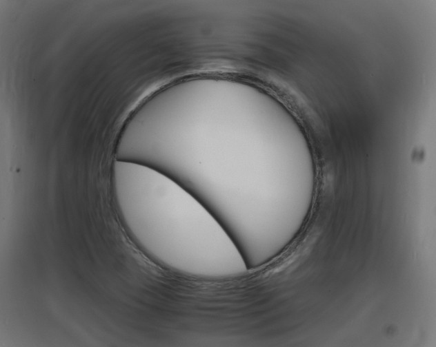 X0000097621409200802290809