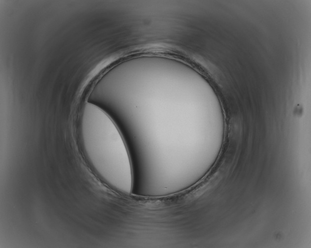 X0000097621410200802290809