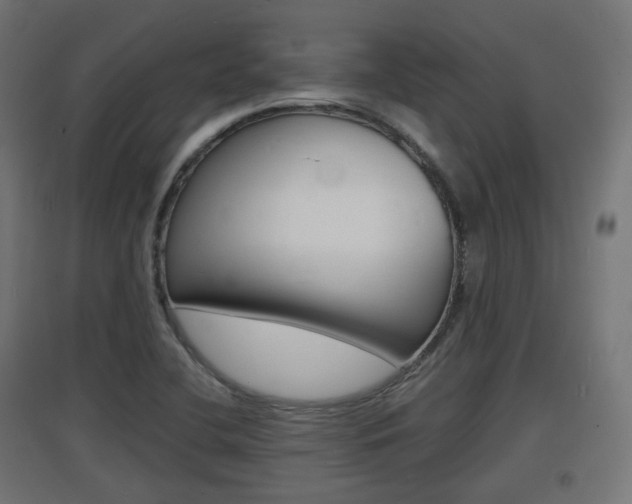 X0000097621412200802290809