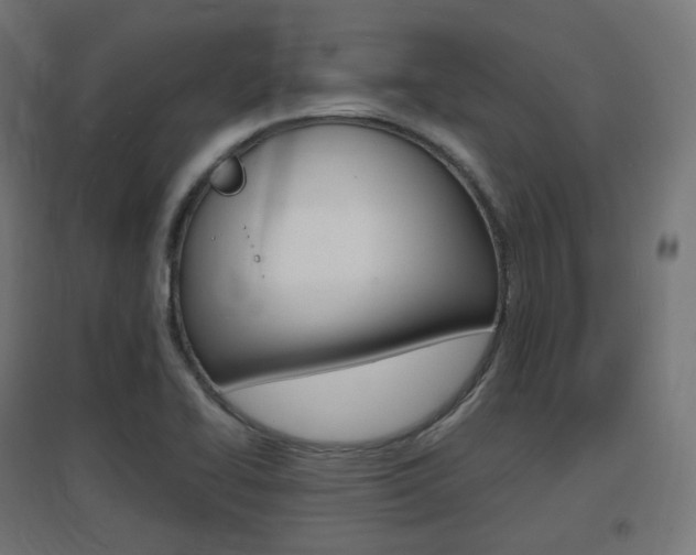 X0000097621414200802290809