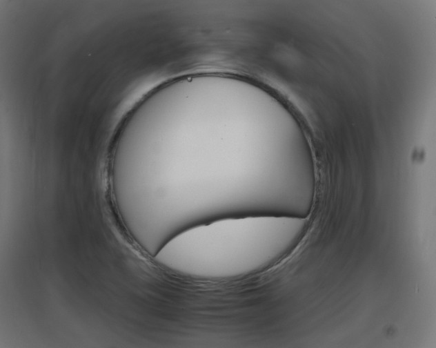 X0000097621415200802290809